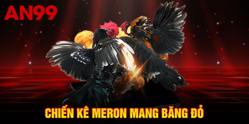 Chiến kê Meron mang băng đỏ