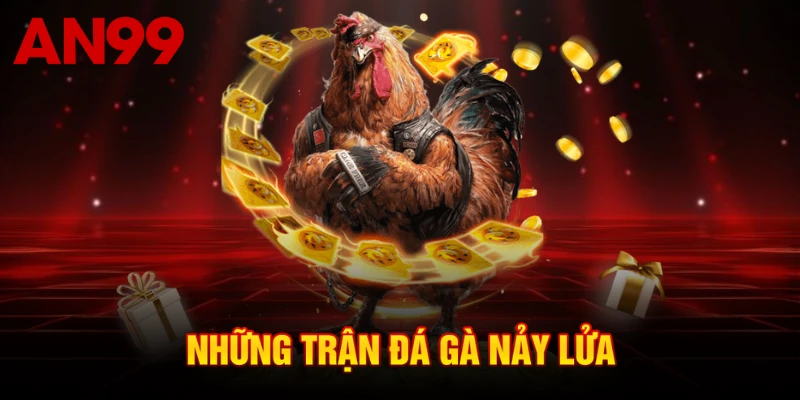 Những trận đá gà nảy lửa